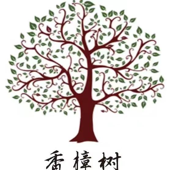 PVC注塑料 大樟树塑胶