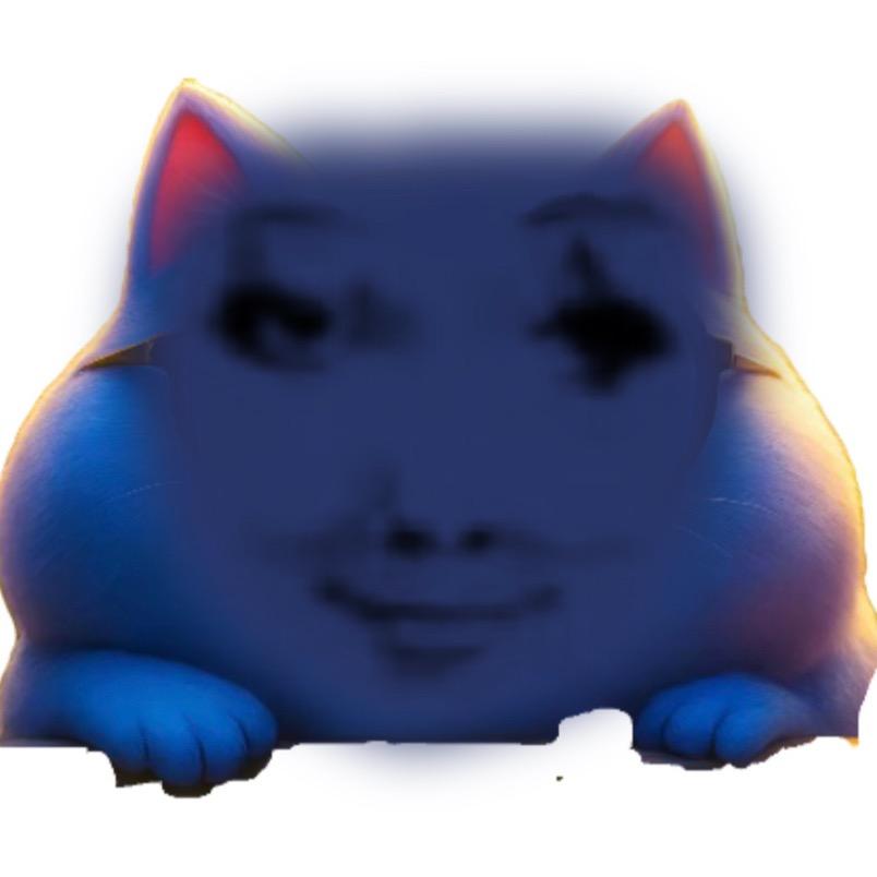 月半猫爱吐槽