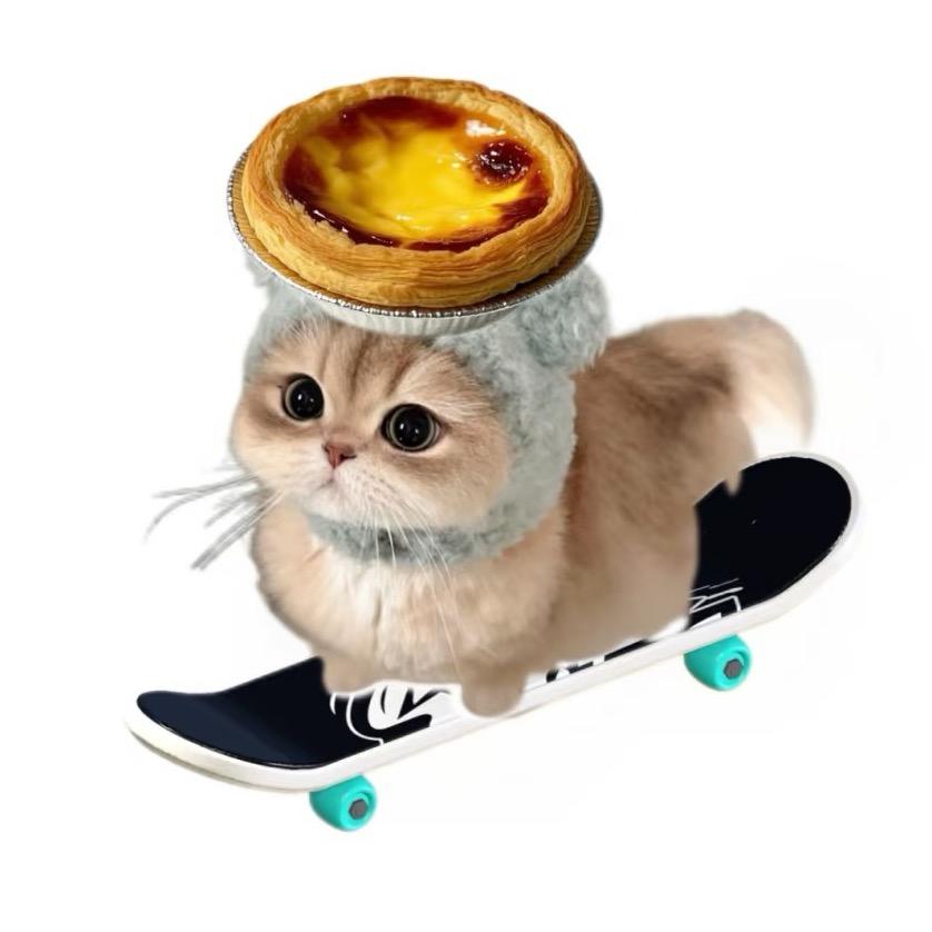猫桔大魔王🐾（拉不拉多版）