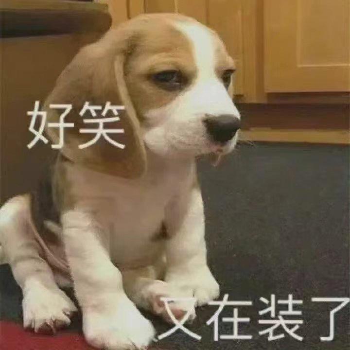 如果可以