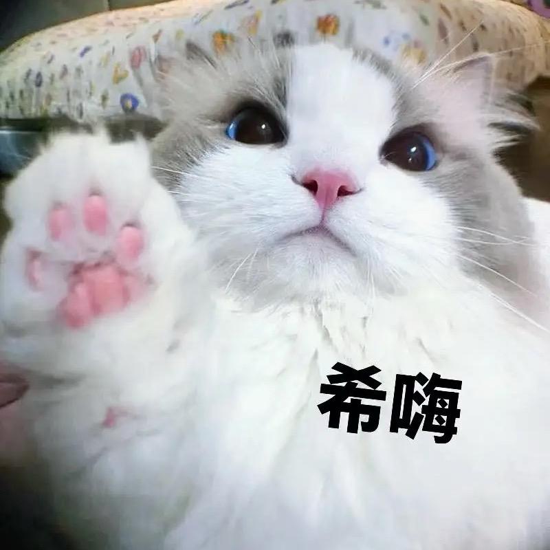算你厉害