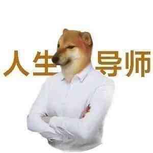 岛头像