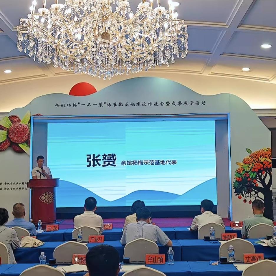 杨梅书记