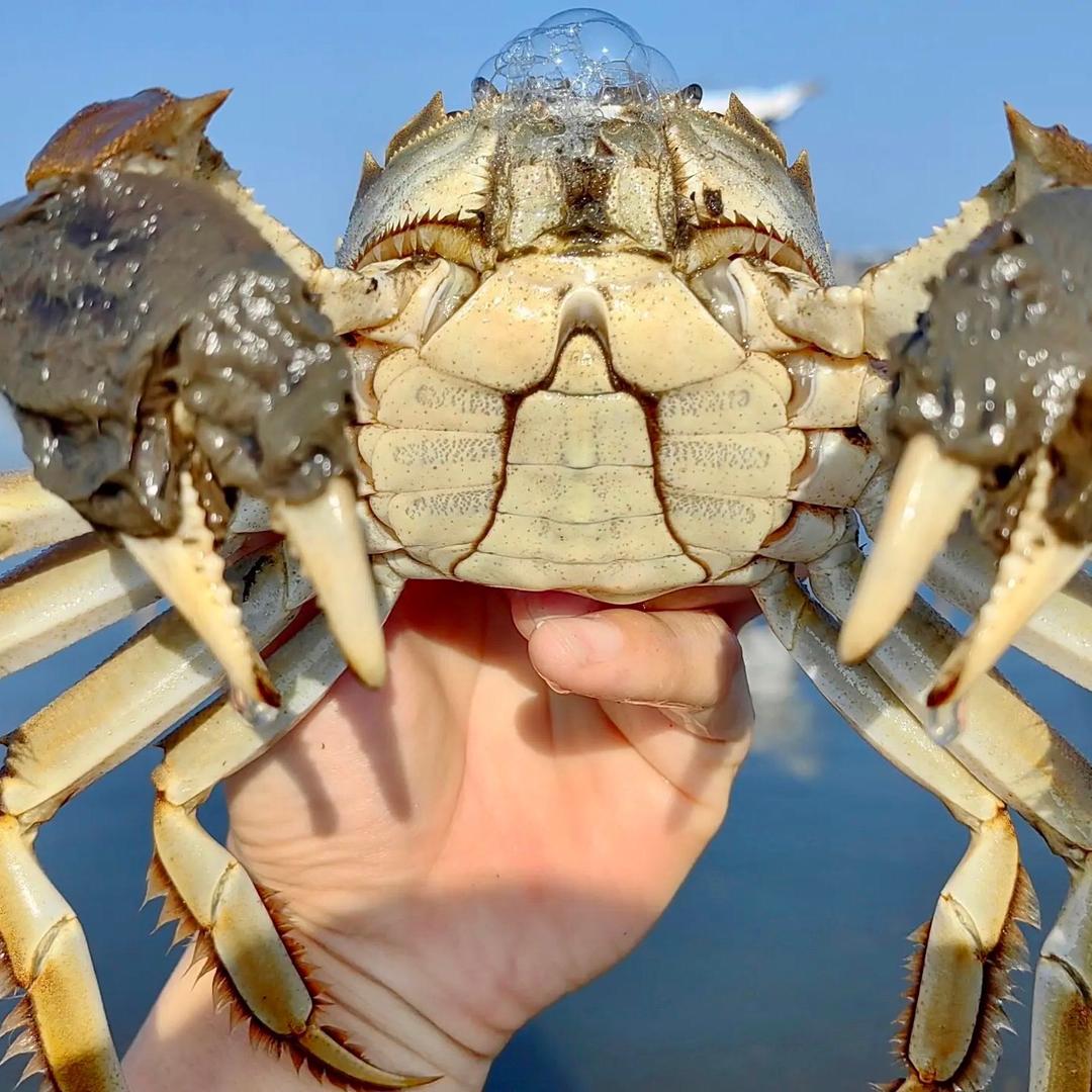 江苏九润水产技术服务中心
