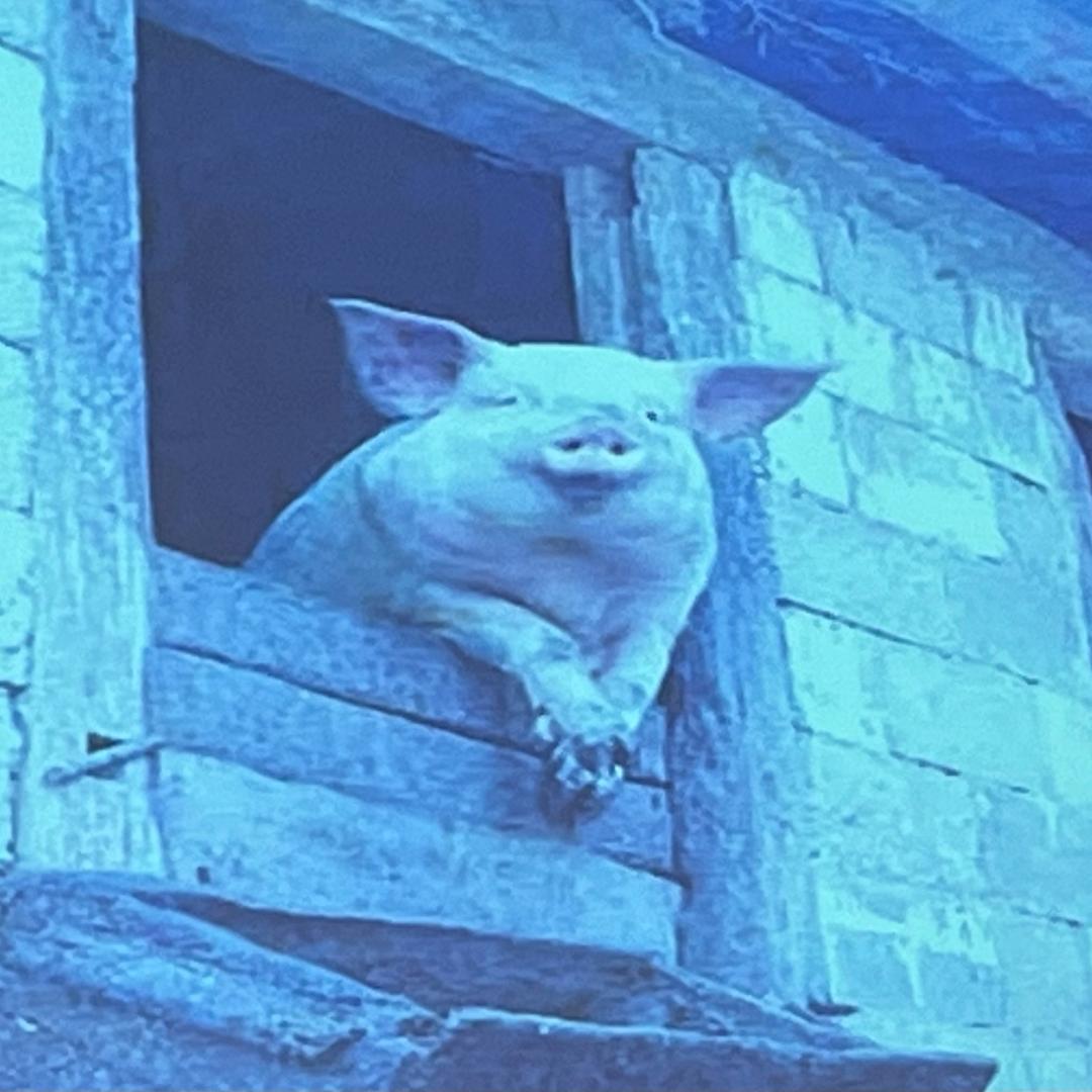 草莓硬糖