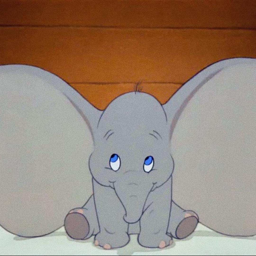 大耳朵开心🐘