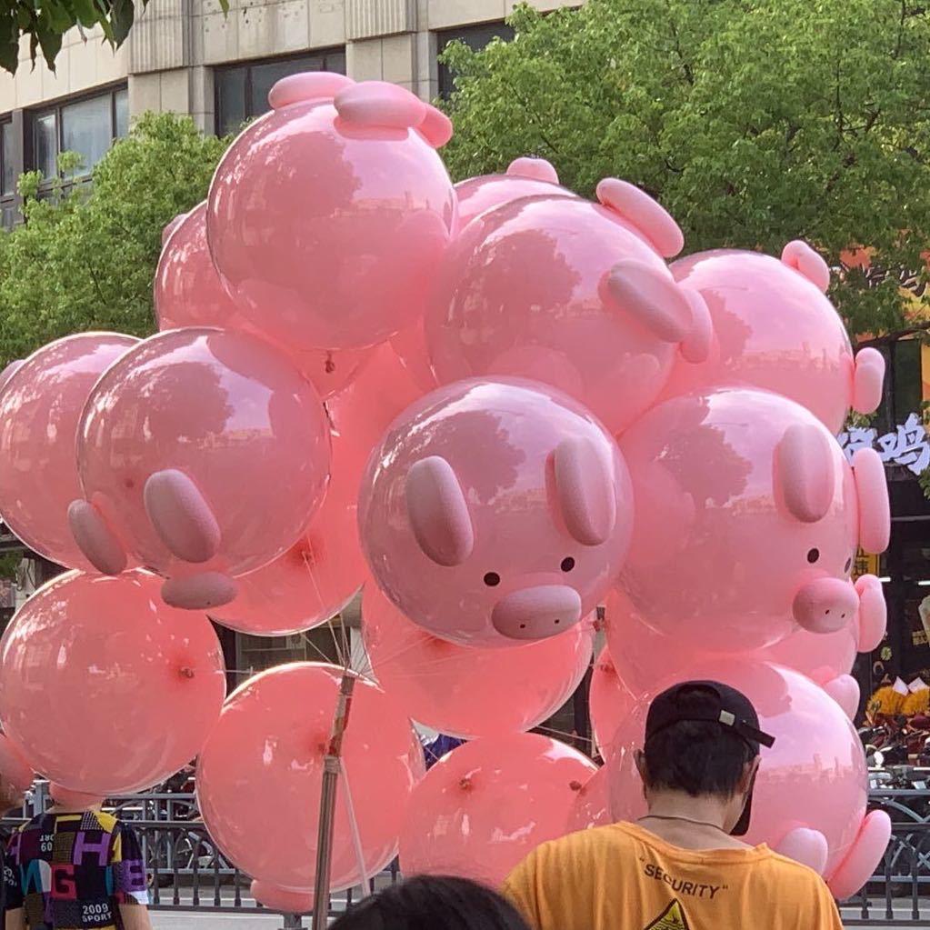 去摘一朵白玫瑰