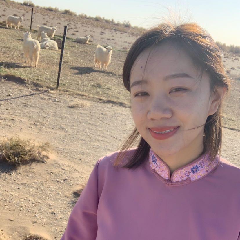 图雅～阿拉善肉苁蓉