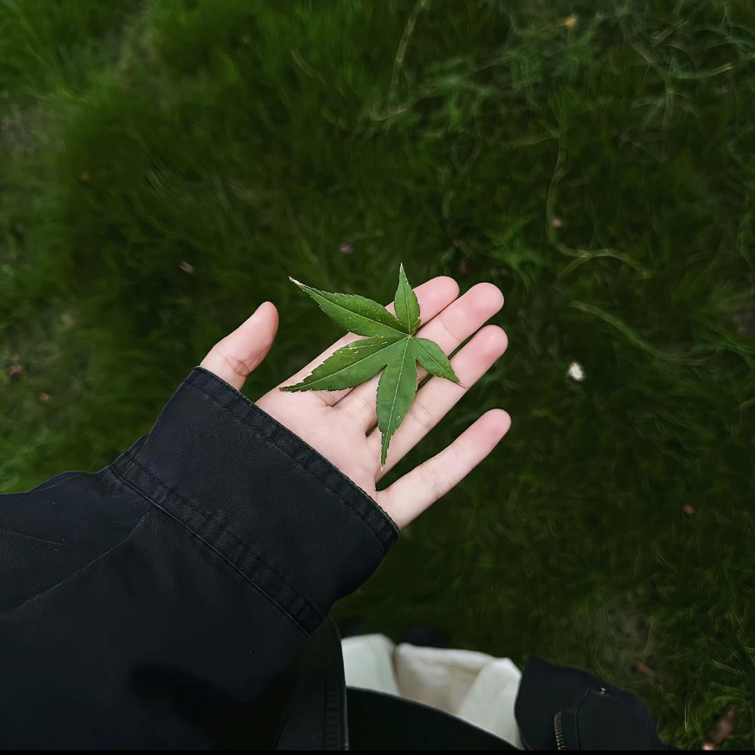 与你挽秋色