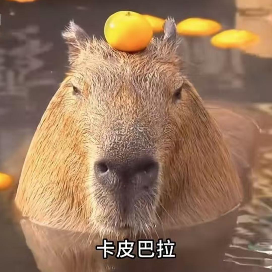 卡҉皮҉巴҉拉҉