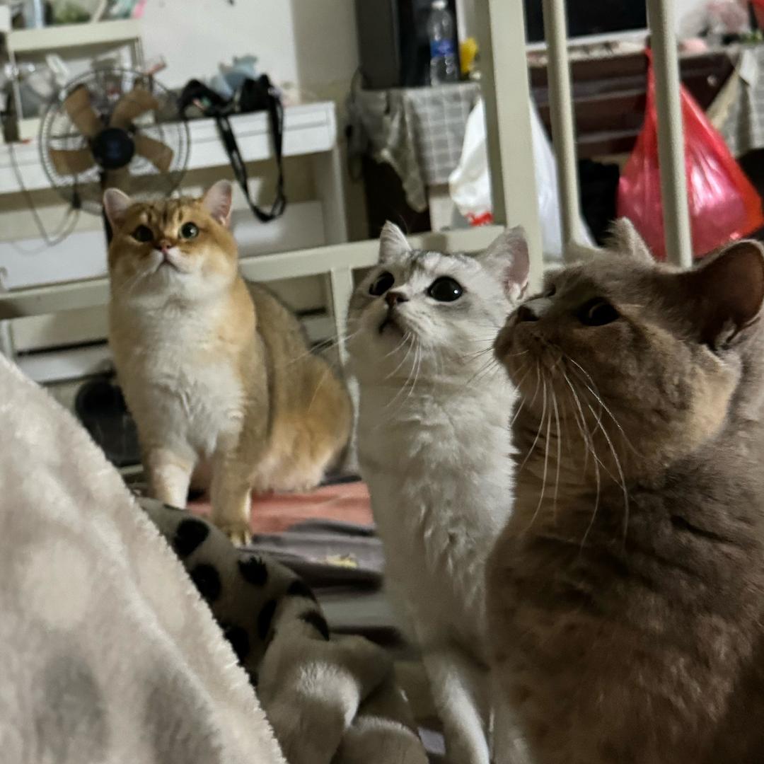 Gtaphil劲挞芙😻