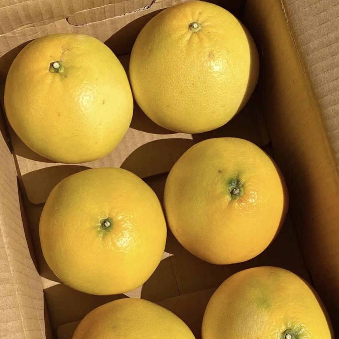 玉晶百货臻选阁