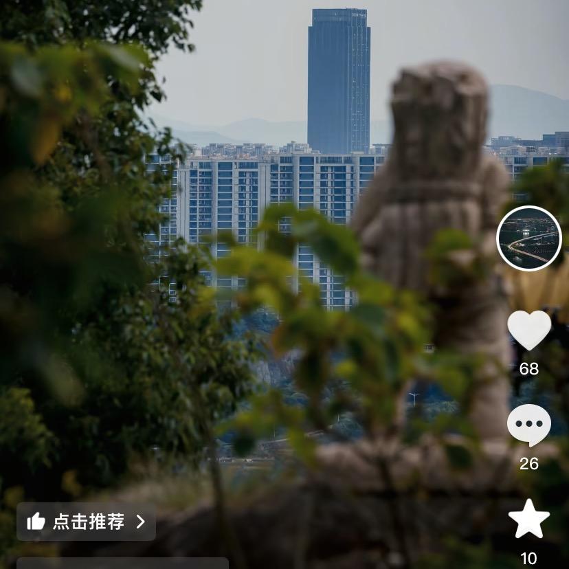 叶枯晨