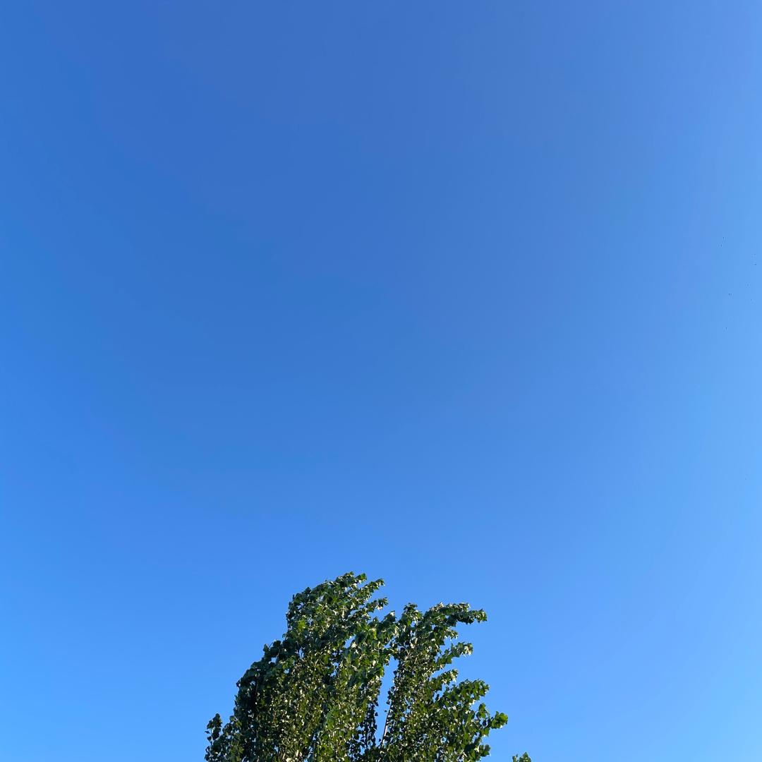杜老板白酒123