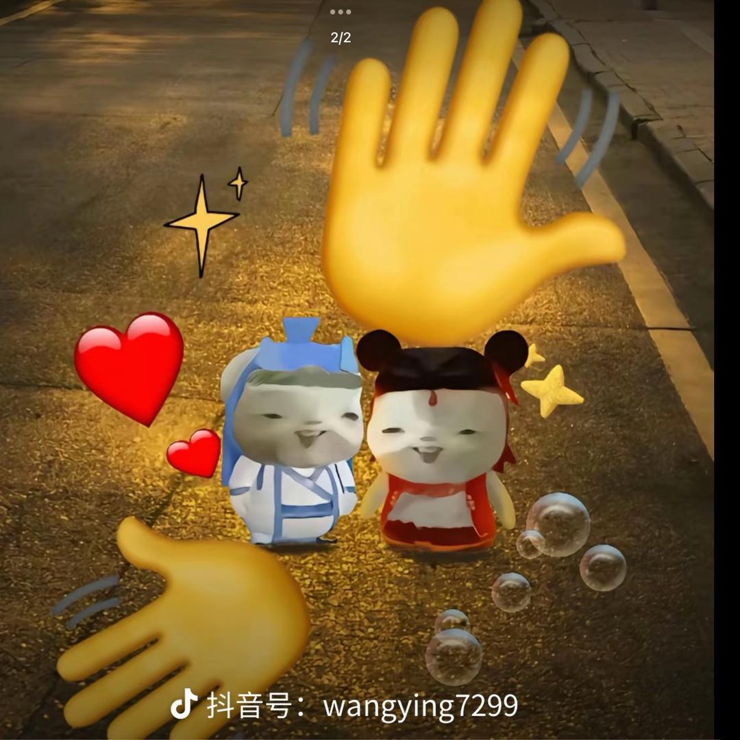 少言川，（胡俊）