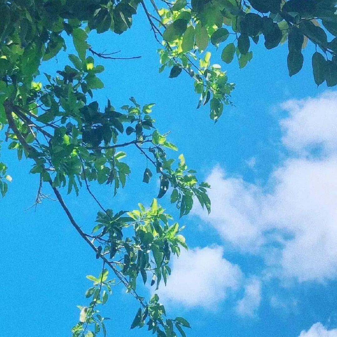 欧阳沐风☁☁💦💦