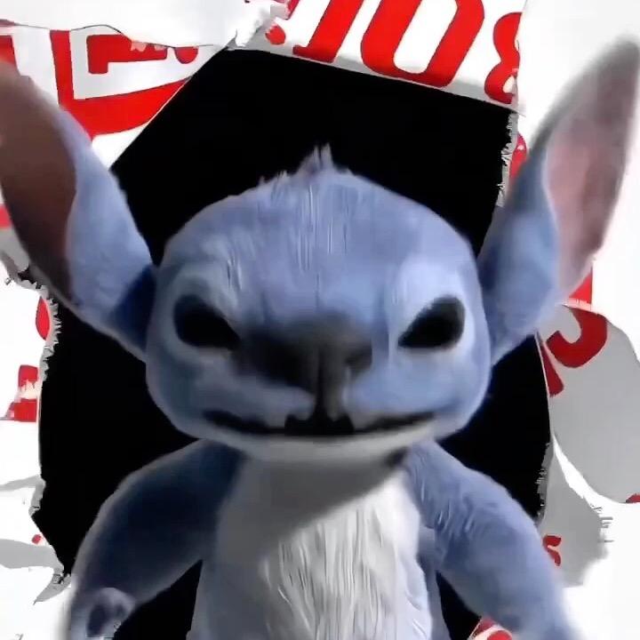 晓馬