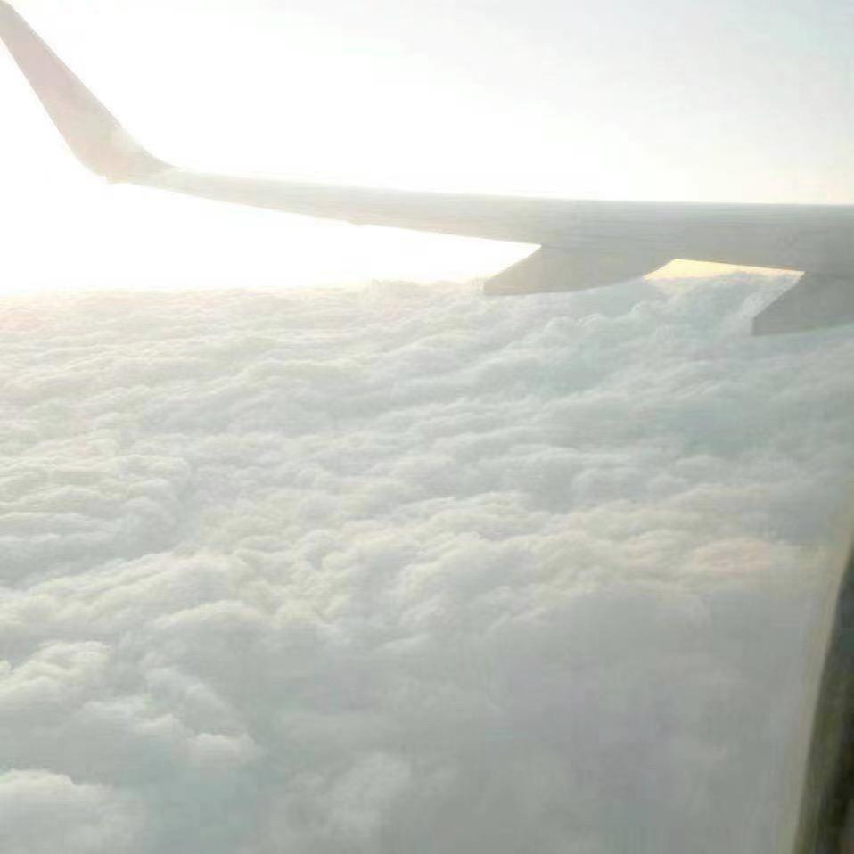 🐯百变(装配电工)