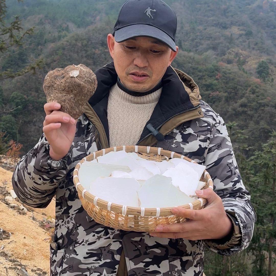 岳西茯苓甄选云上岳西