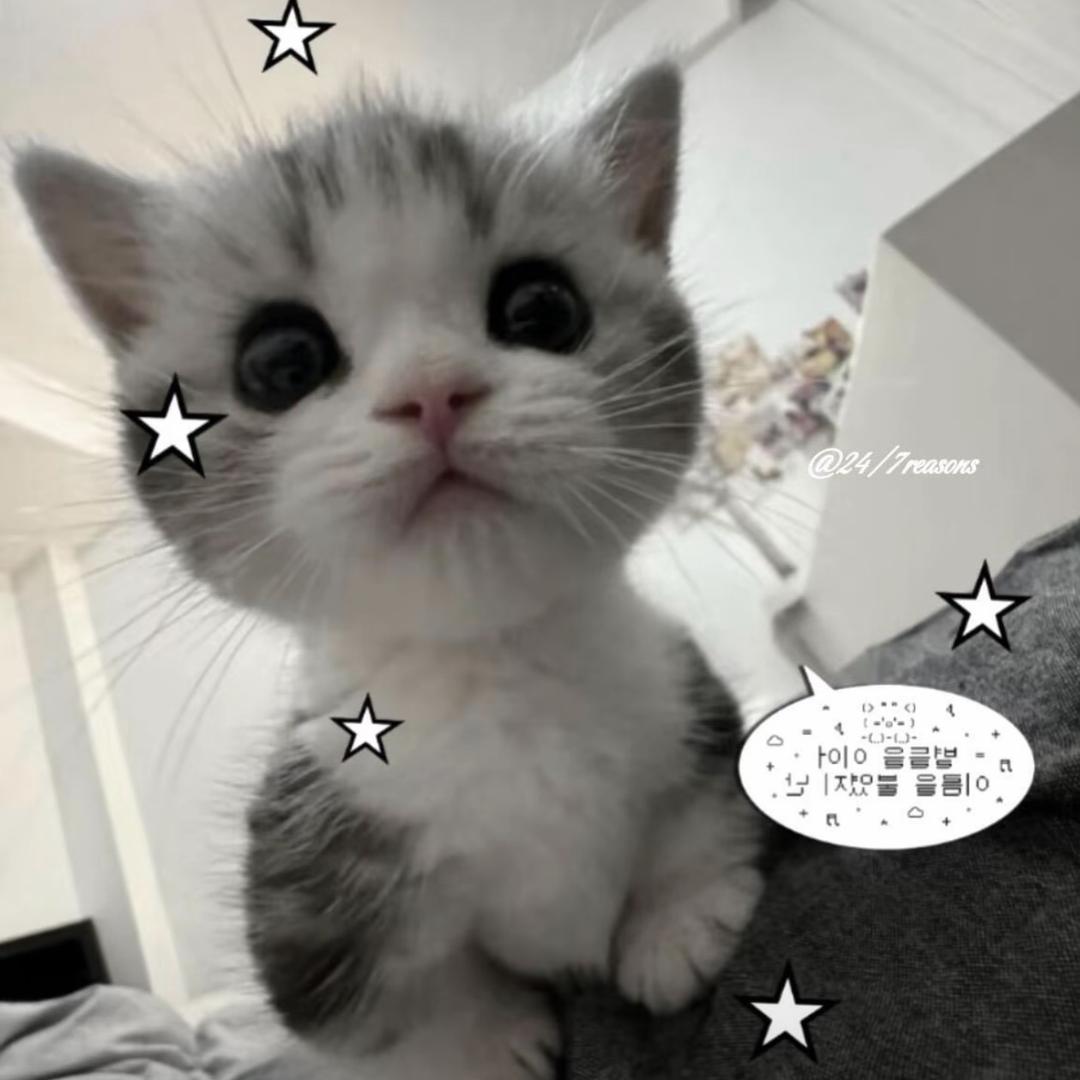 小伤心