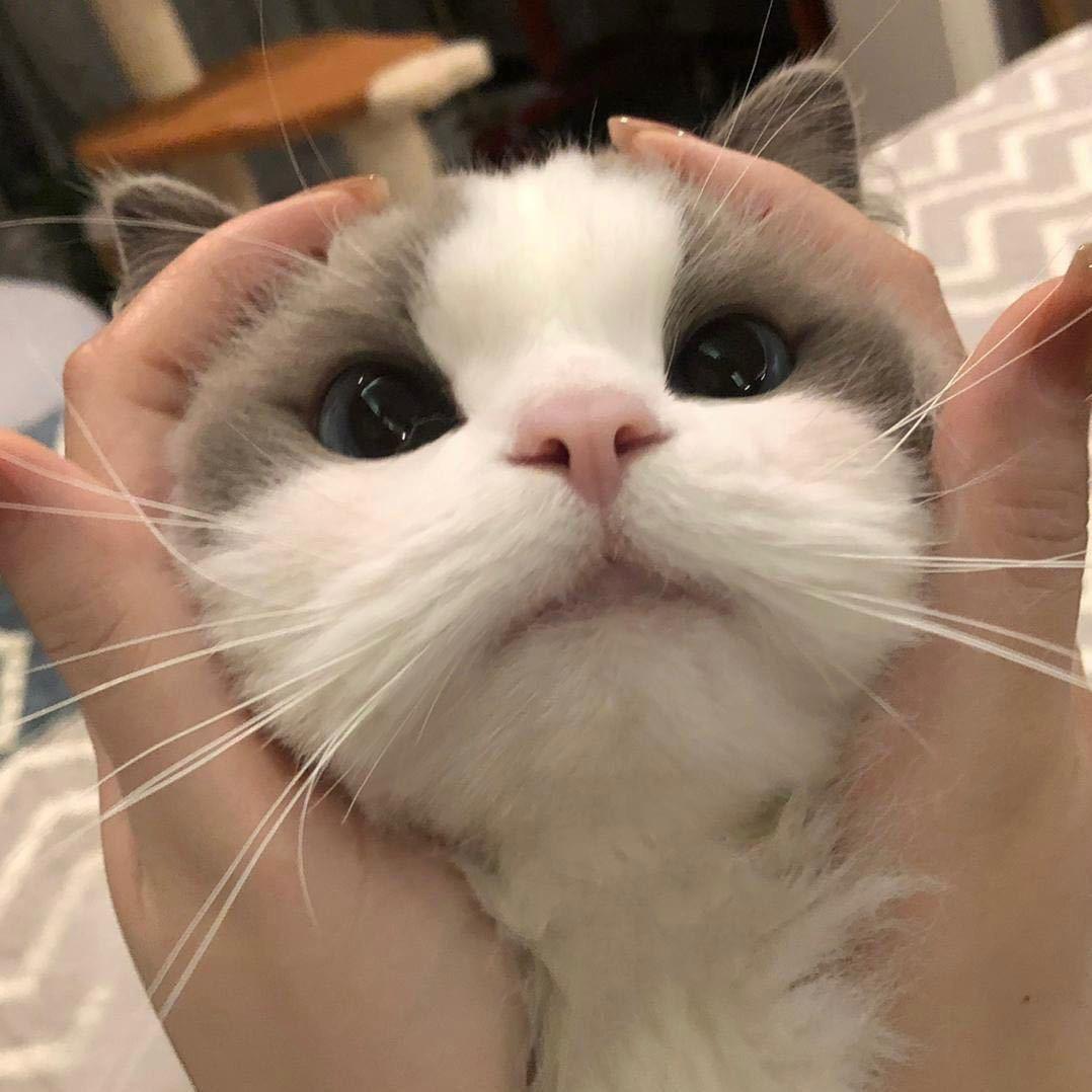 绝版小小晴