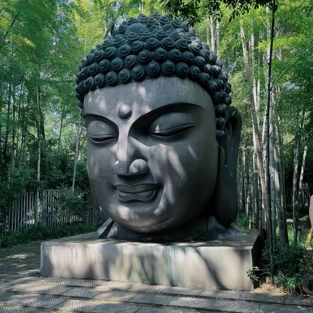 王进