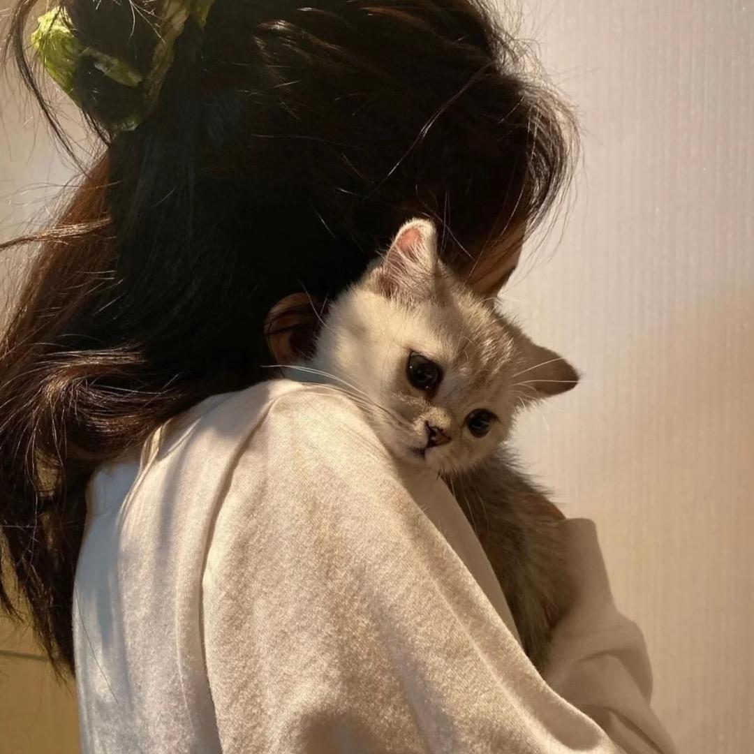 🌈月亮的裙角*