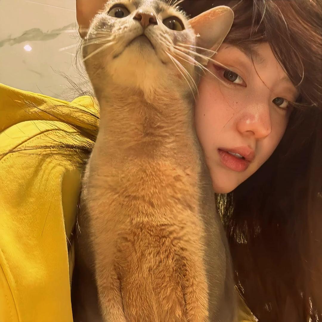 kittn