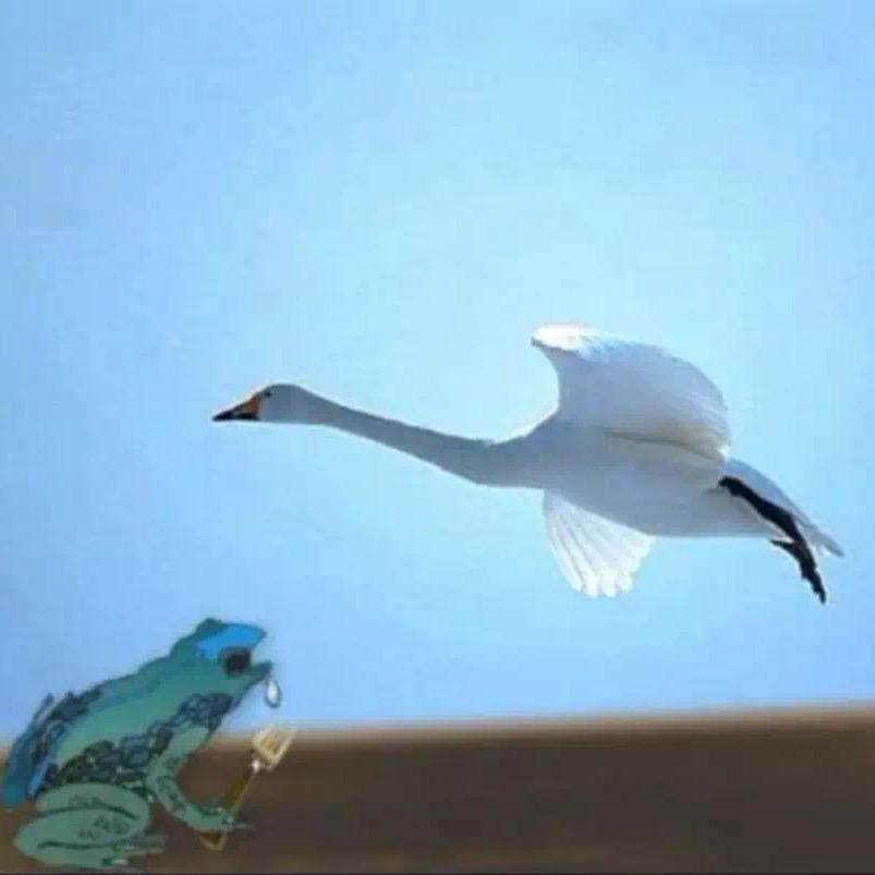 向上⬆️