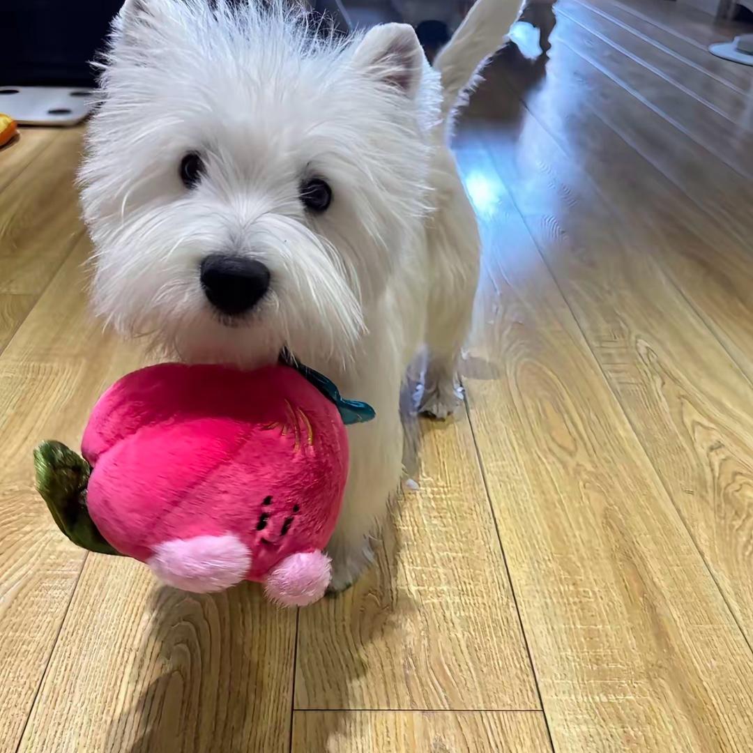 你肯定觉得没意思（艮艮版）