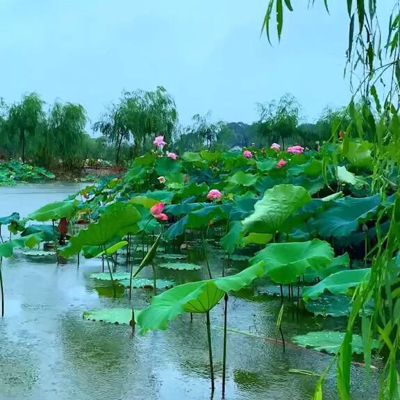 快乐使者(攸县剪折板工)