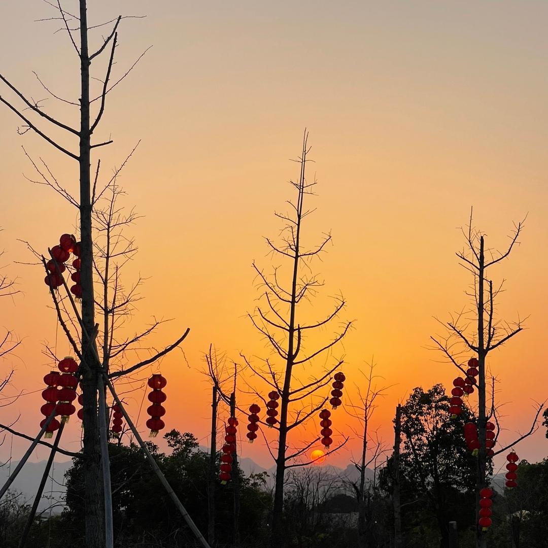 芯瑜