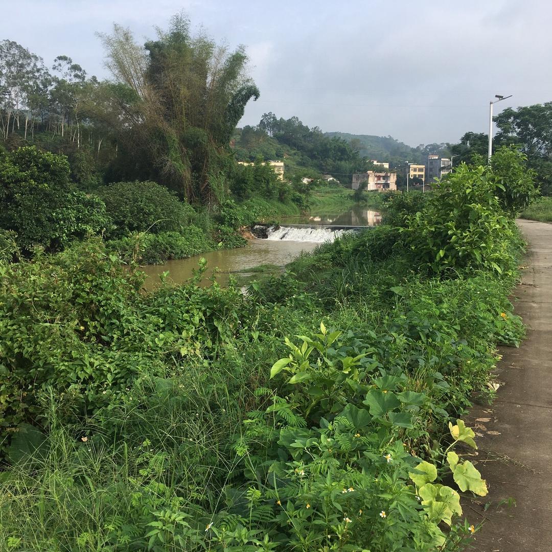 踏遍天涯路