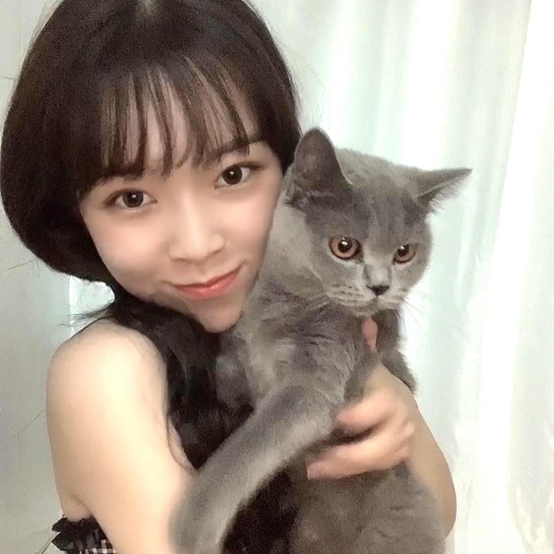 笨蛋美女要早睡
