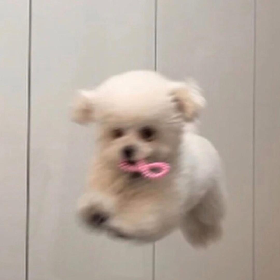 末末不是沫沫