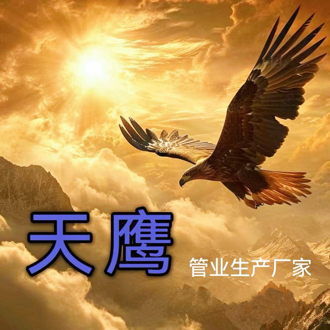 天鹰管业有限公司