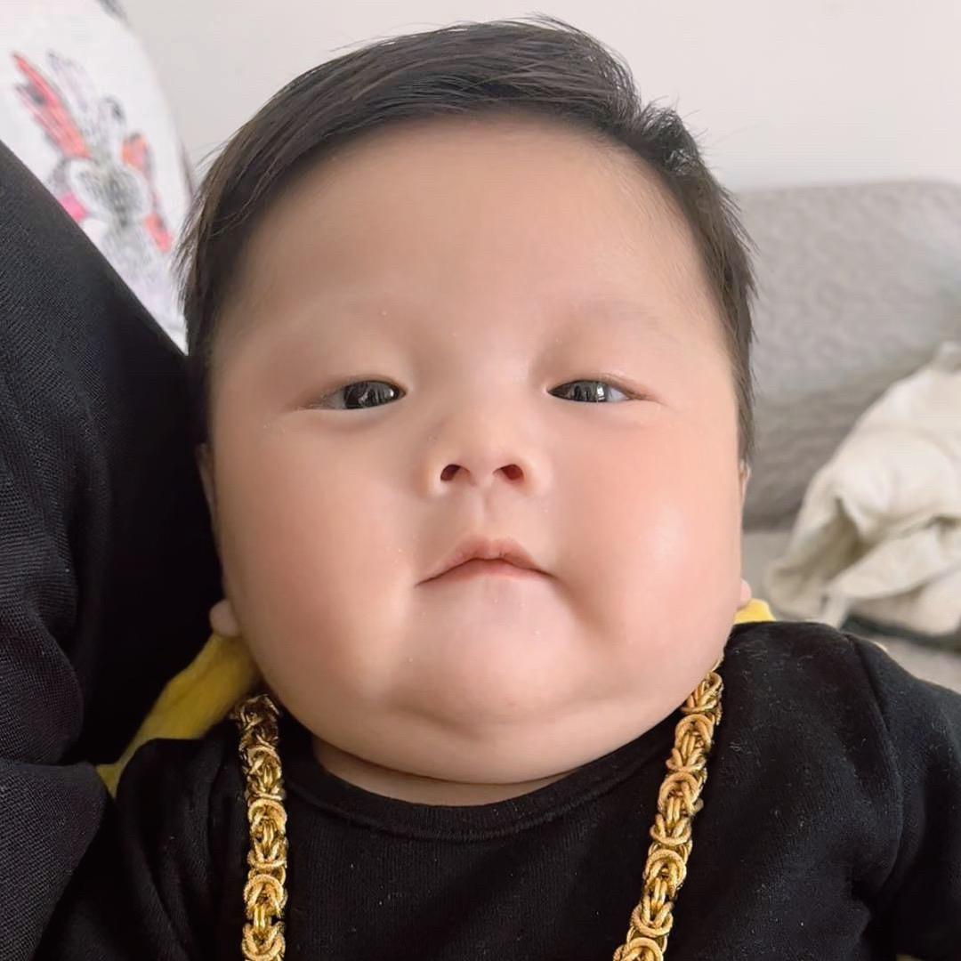 景禾小崽.