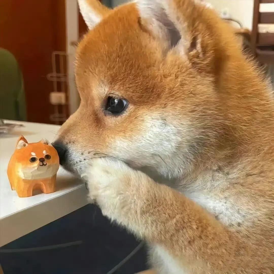 猴子的救兵
