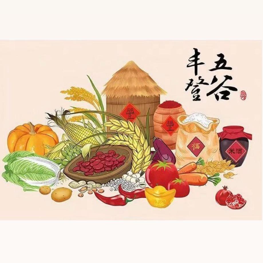 LIANG诗欣.
