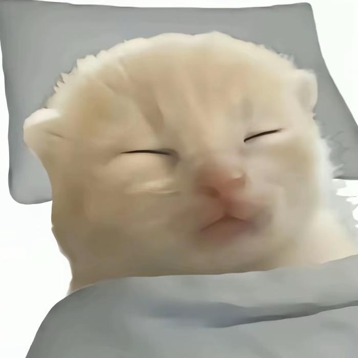 刘东.头像