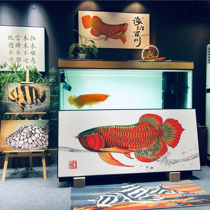 凯子说滤材