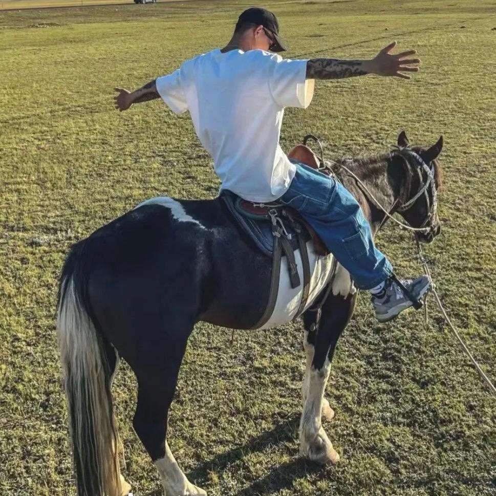 @李  振  天  （努力版）