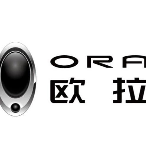 欧拉汽车永州店