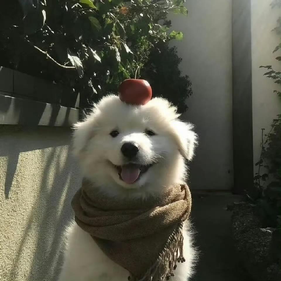 再来一瓶可乐🥤