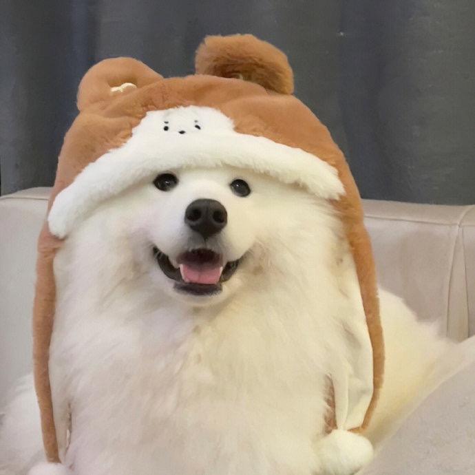 犟爆耶耶