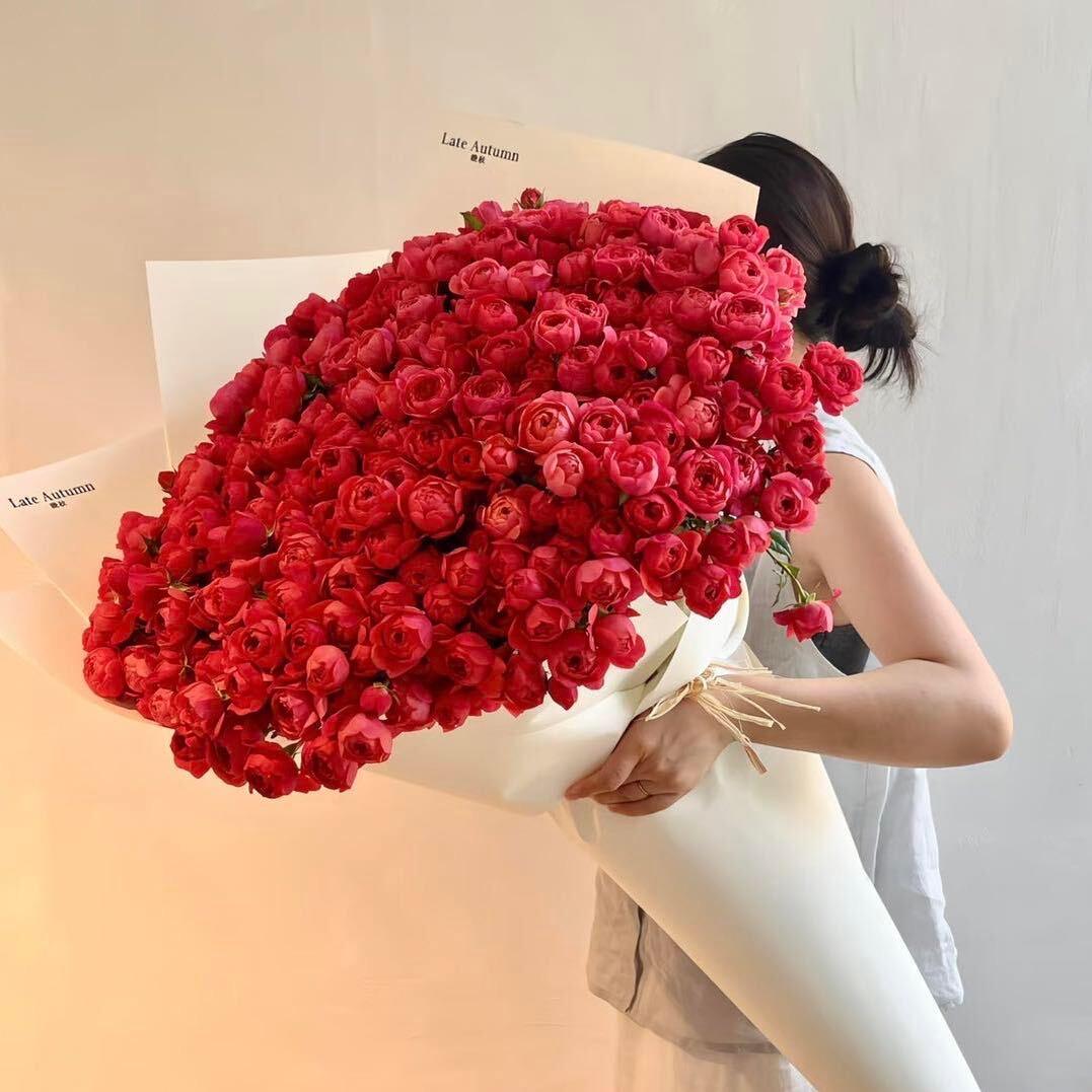 美加德尚系统门窗-玉玲