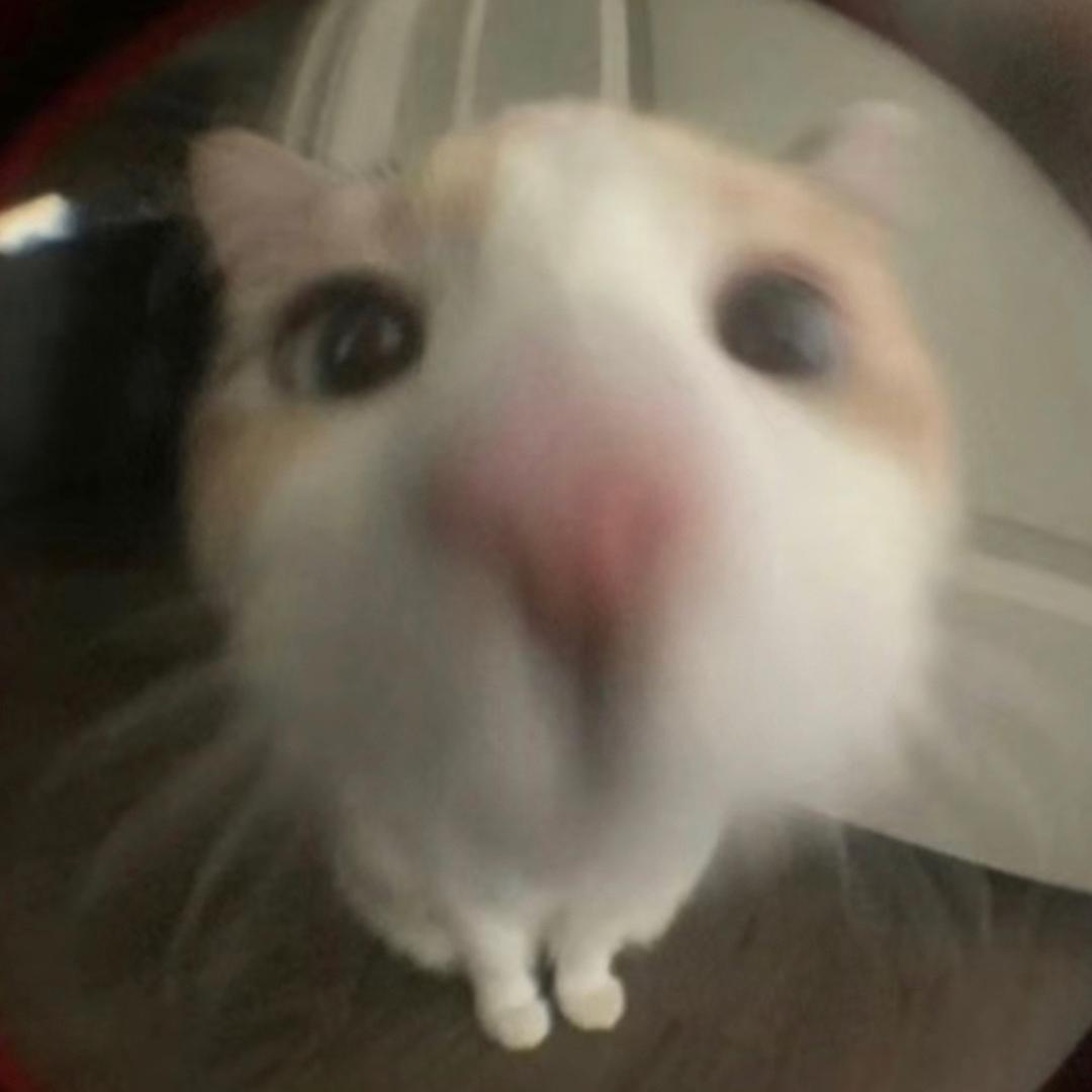 Yo