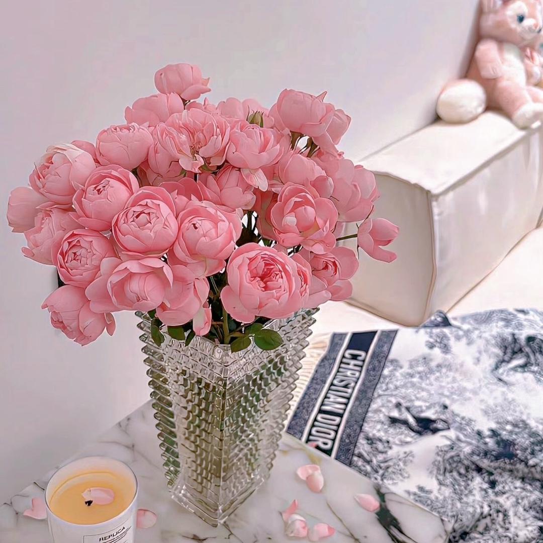 森研护理私密馆健康专场