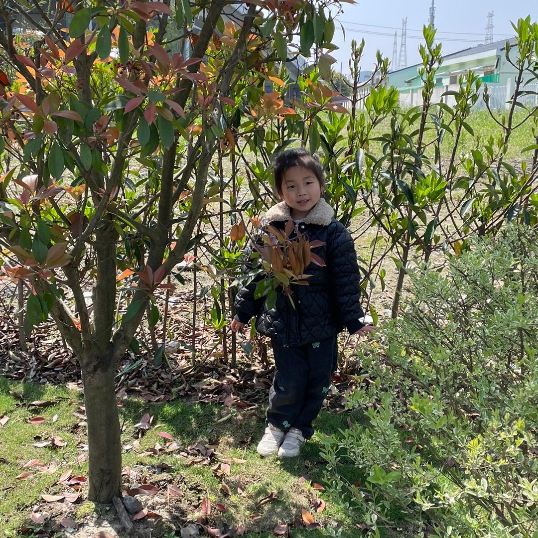 喜欢汉堡的哥哥