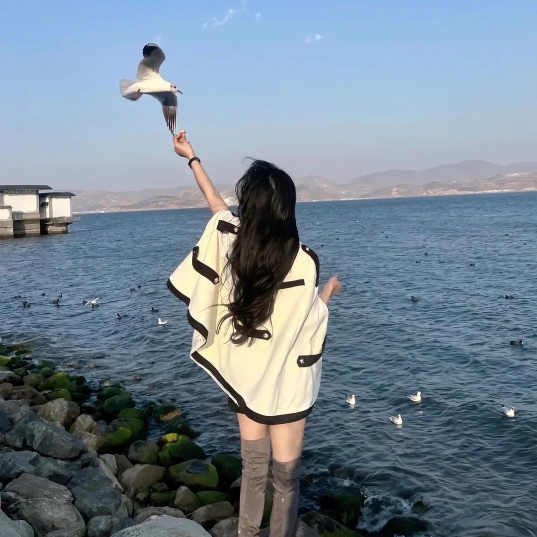 努力亿点点